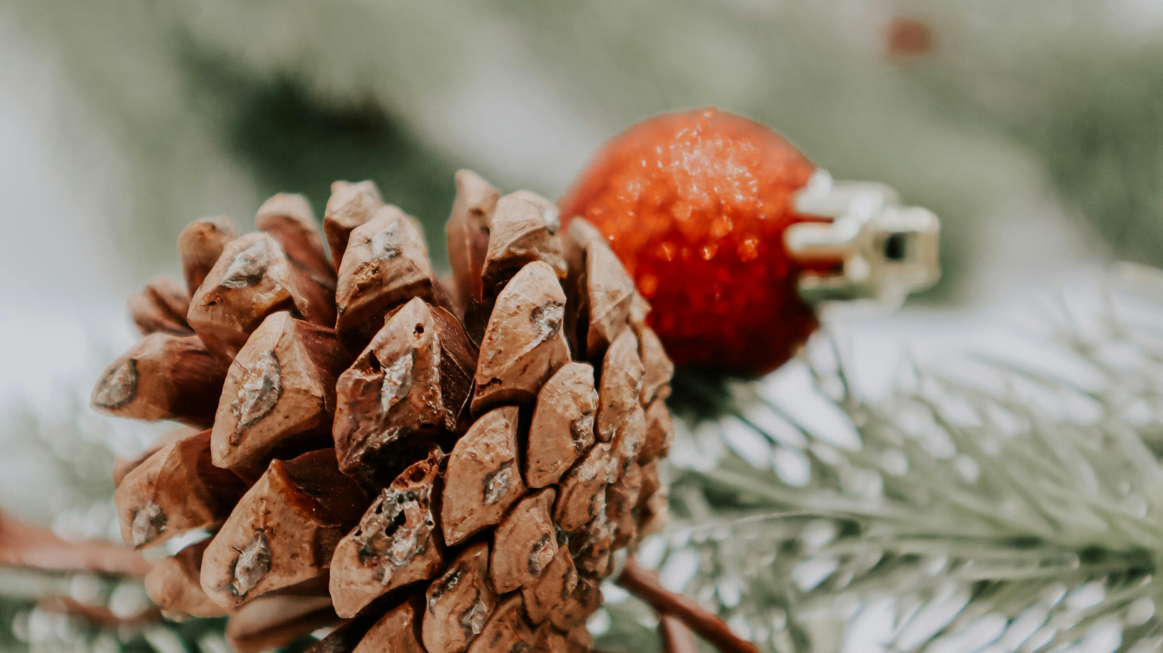 10 DIY de déco de noël éco-responsables pour un noël naturel et créatif 🎄