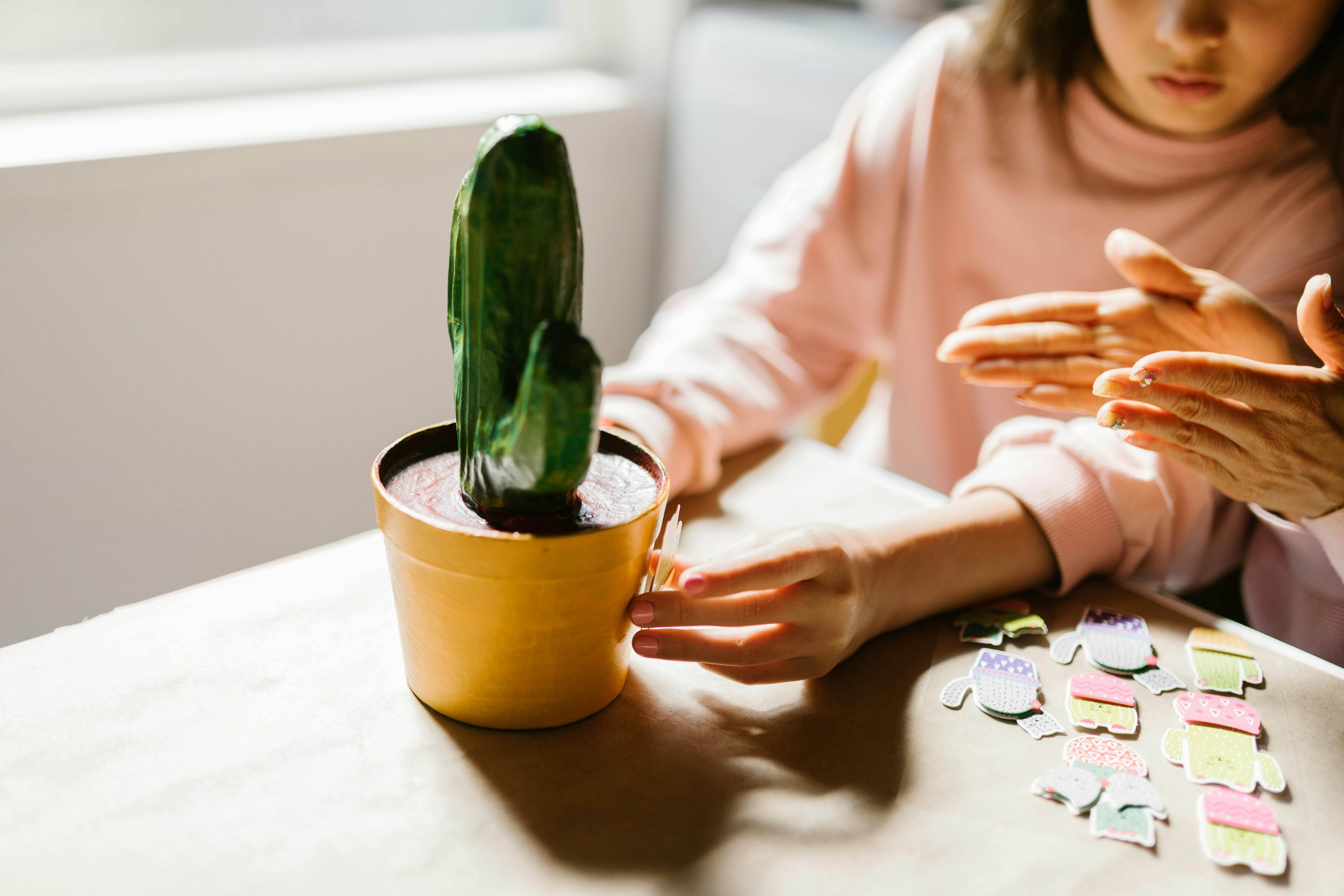 Box éducatives pour enfants : guide complet pour bien choisir