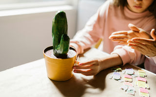 Box éducatives pour enfants : guide complet pour bien choisir